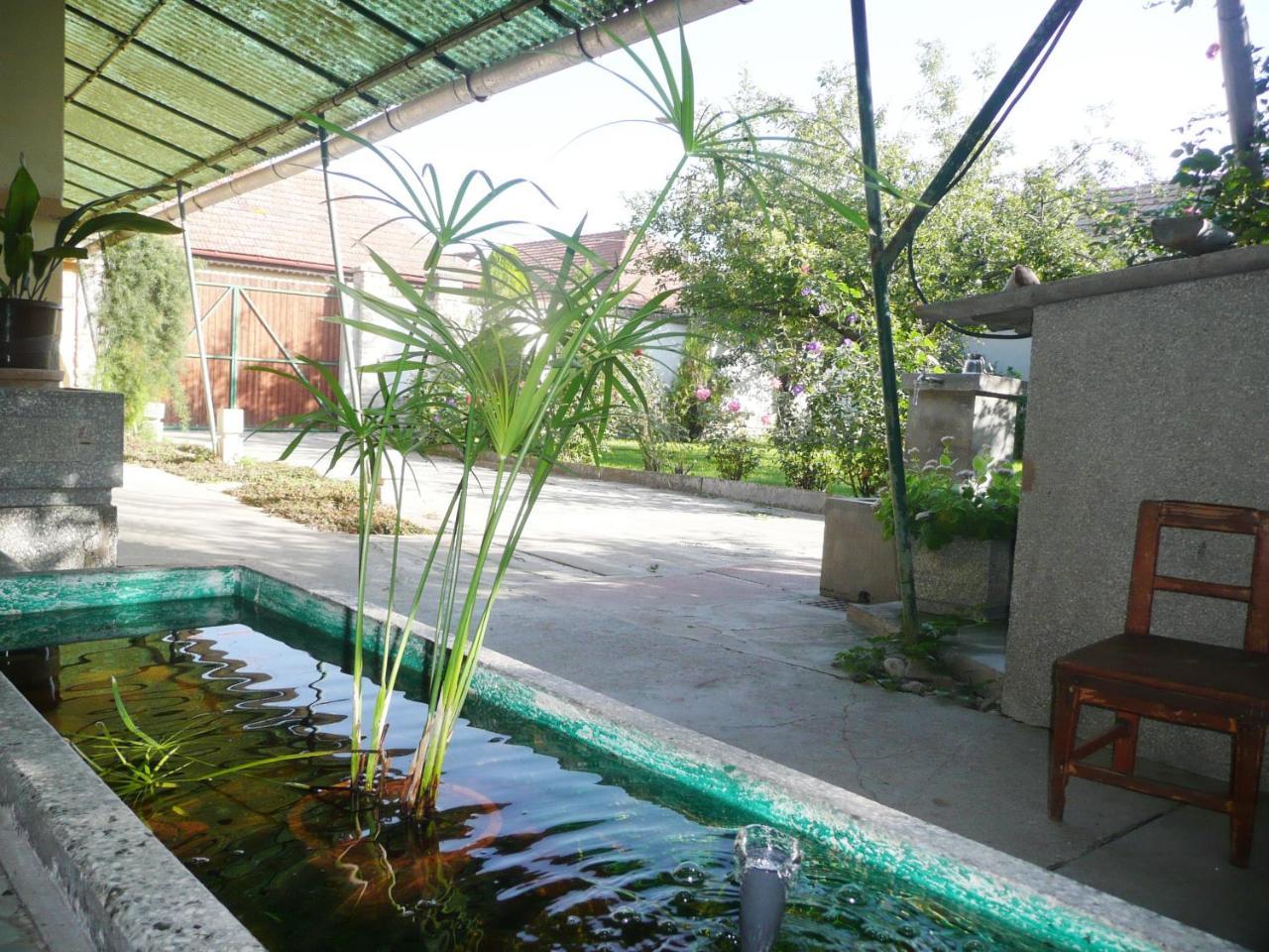 Guest House Tisza Ház Senta Esterno foto